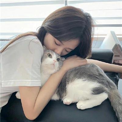 最后的迪斯科